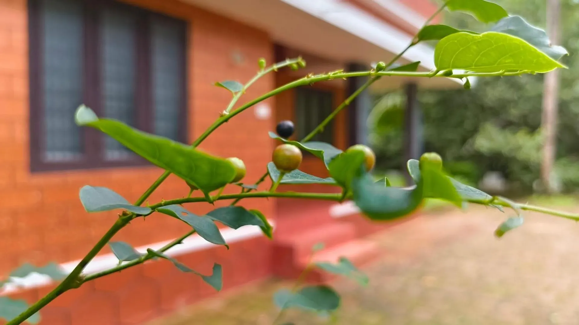 Theerthamkara Staycation Nileshwar