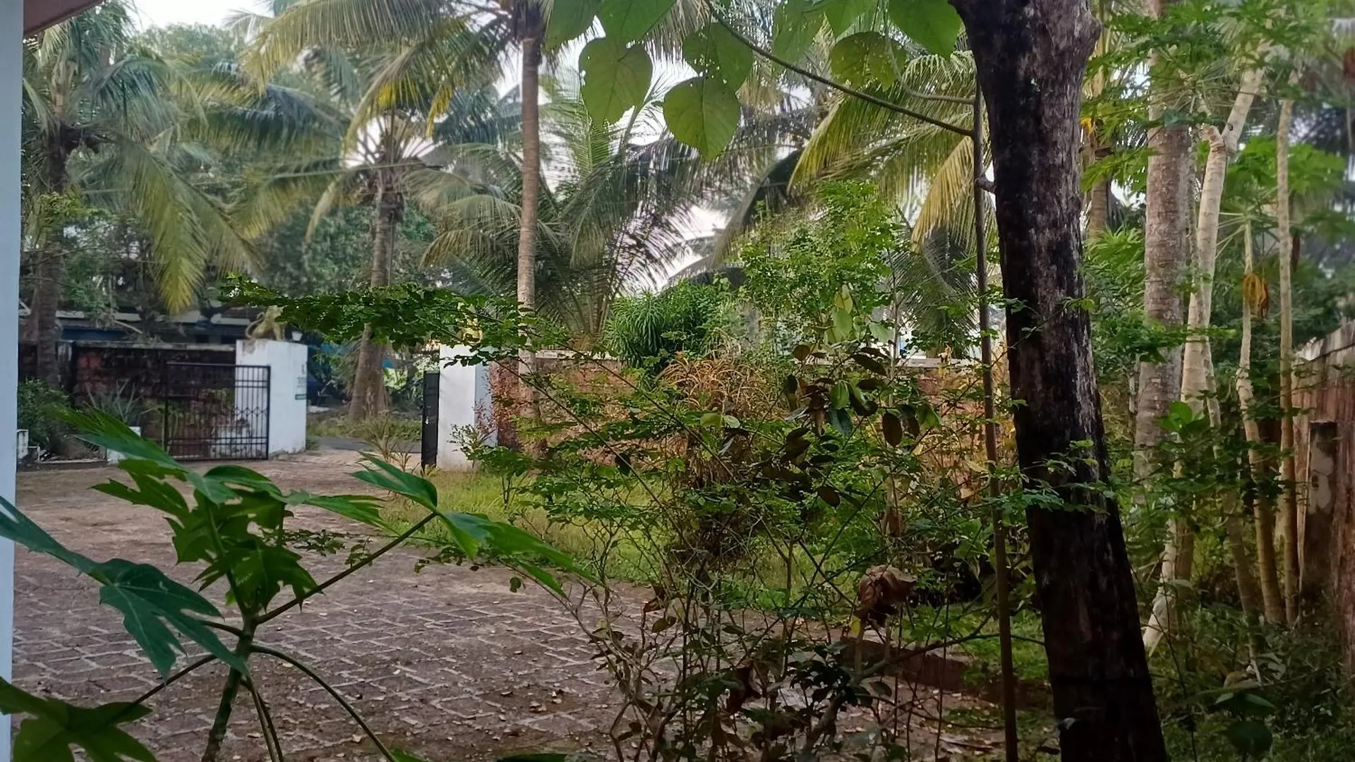 Theerthamkara Staycation Nileshwar Homestay